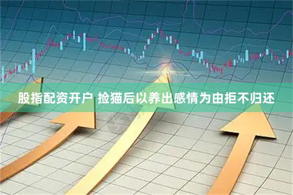 股指配资开户 捡猫后以养出感情为由拒不归还
